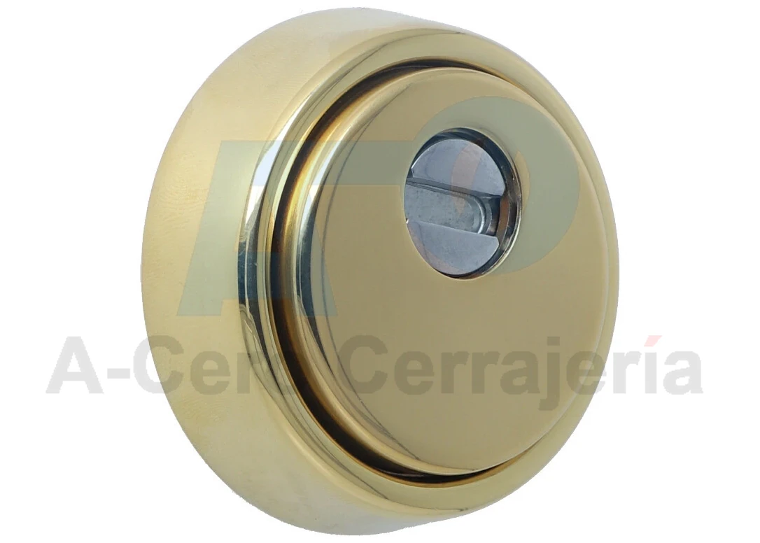 Escudo BD280 ROK manganeso